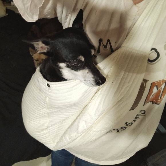 Meet your Posher, Rowdi - Picture 2 of 4